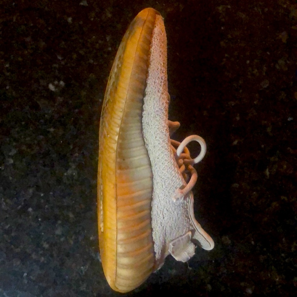 Youth Adidas Yeezy Boost 350 - Picture 8 of 11